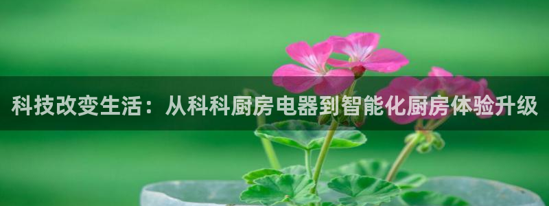 风暴娱乐右5指尖