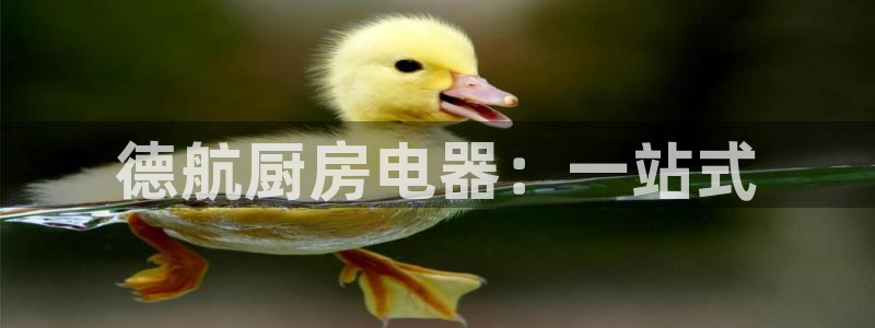 风暴娱乐网