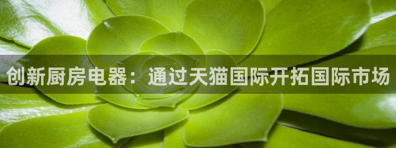 风暴娱乐待遇