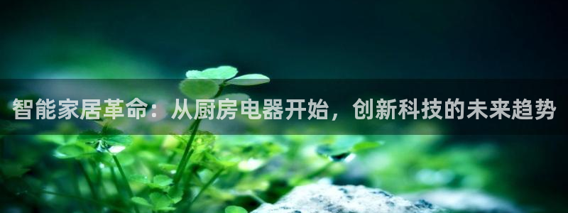 风暴眼娱乐