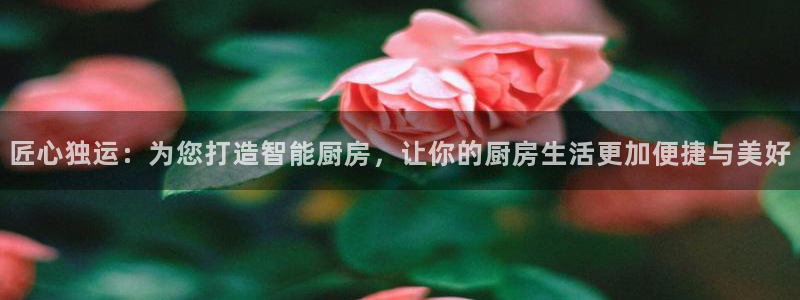 风暴娱乐点