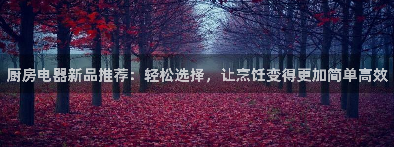 风暴娱乐测速