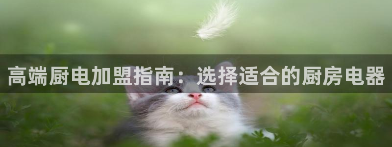 风暴娱乐网