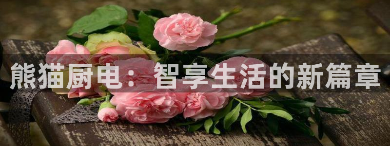 风暴娱乐平台地址