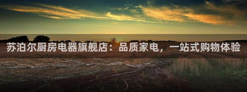 娱乐风暴2