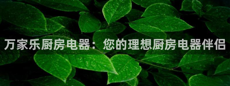 风暴娱乐提现