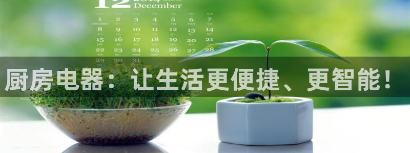 风暴娱乐部