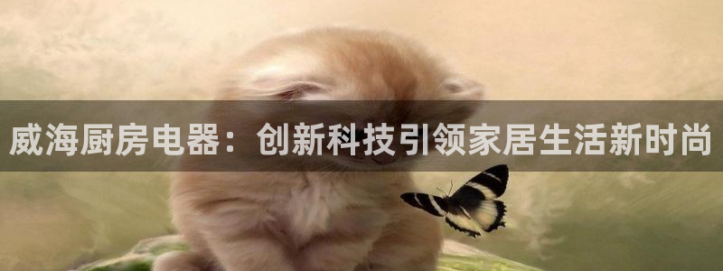 娱乐风暴港