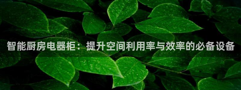 风暴娱乐40996