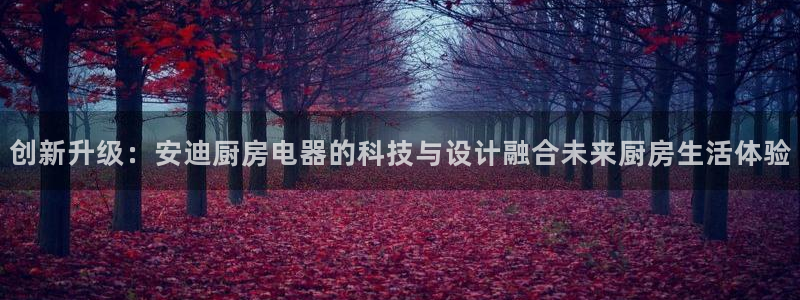 娱乐风暴系统