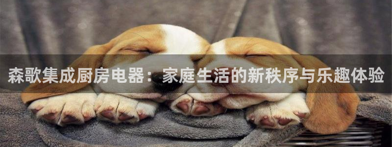 风暴娱乐客服
