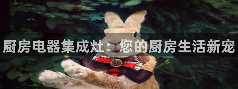 下载风暴娱乐