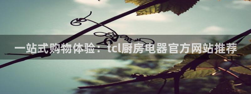 风暴娱乐5O6917