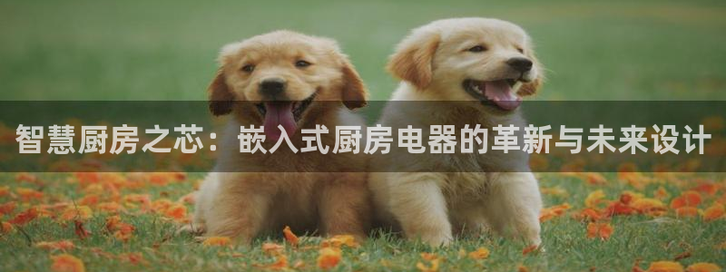 风暴娱乐图片