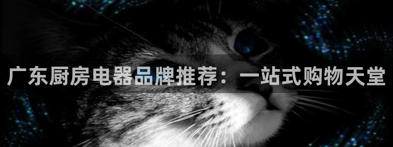 风暴娱乐线路
