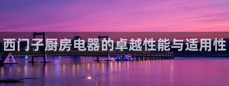 菲律宾风暴娱乐集团