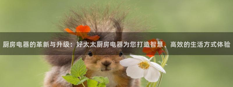 风暴娱乐图片