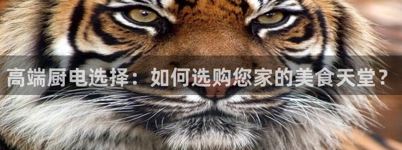 万万娱乐风暴