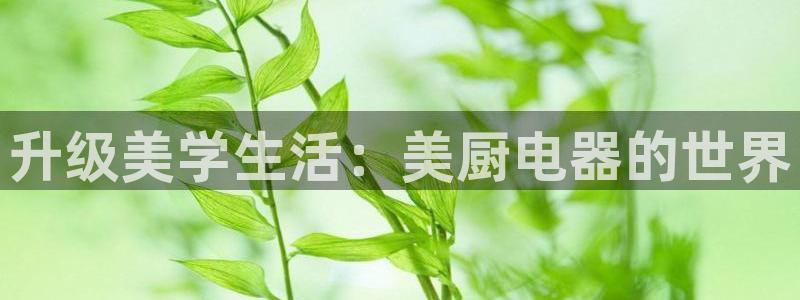 风暴娱乐 平台首页