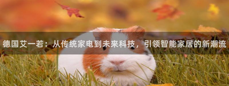 风暴娱乐fb