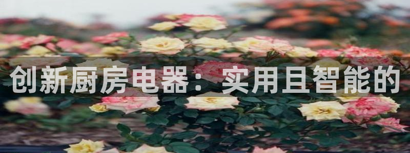 娱乐风暴合集
