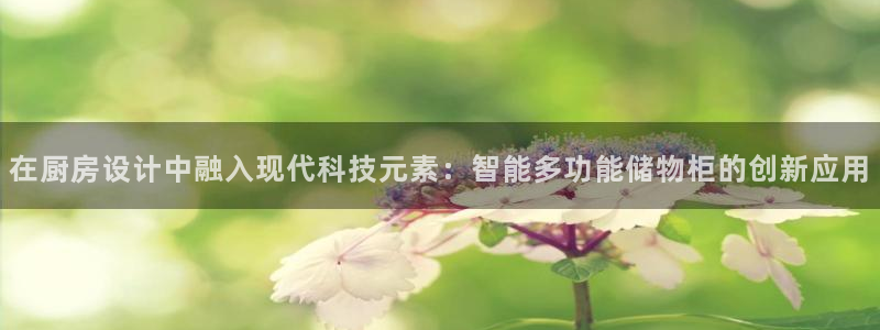 风暴娱乐去人l8888