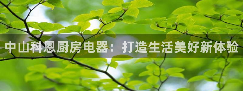 风暴娱乐fb