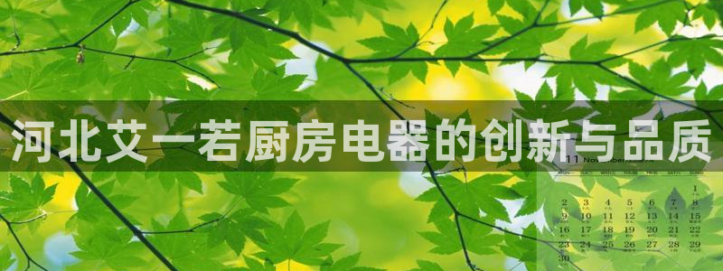 风暴娱乐客服
