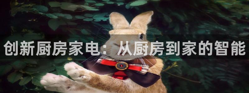 星风暴娱乐