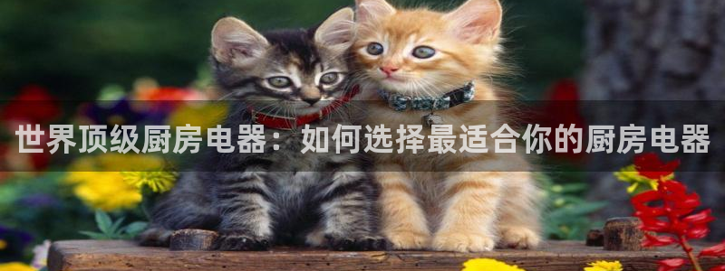 风暴娱乐眼