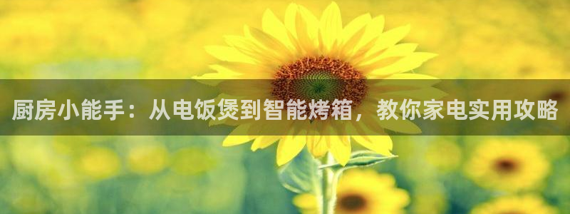 风暴娱乐fb
