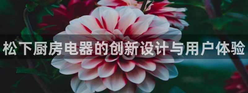 完美风暴 娱乐