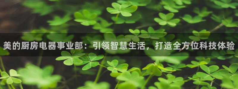 风暴娱乐派对