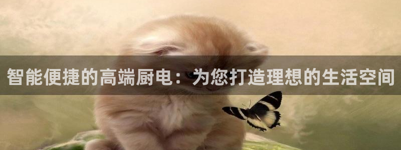 风暴娱乐主管是谁