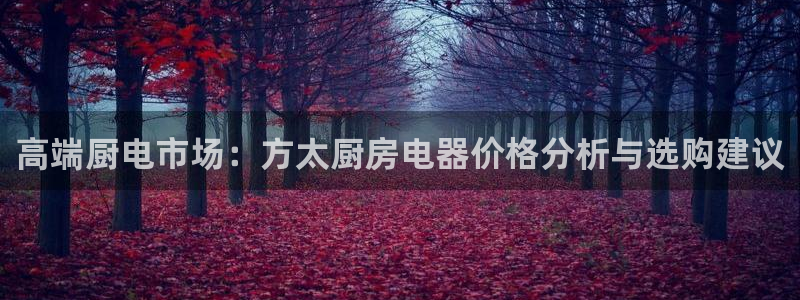 风暴娱乐344272
