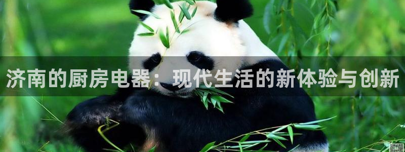 风暴娱乐求333OOc
