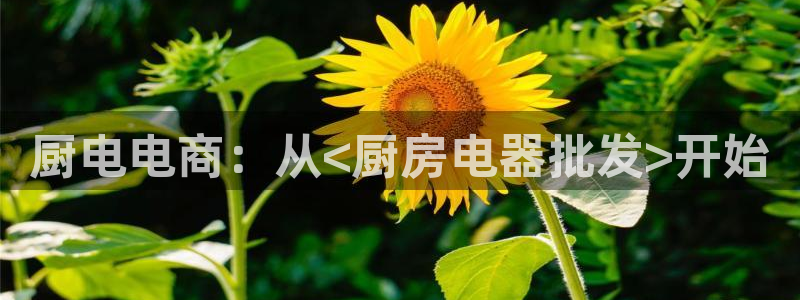 娱乐风暴2
