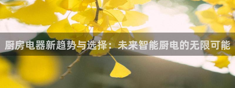风暴官方娱乐
