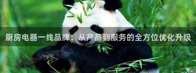 风暴娱乐1