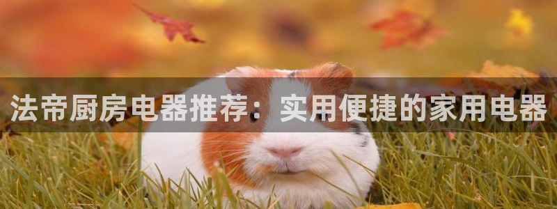 风暴娱乐平台地址