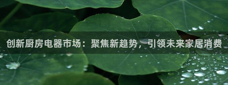 风暴娱乐平台地址