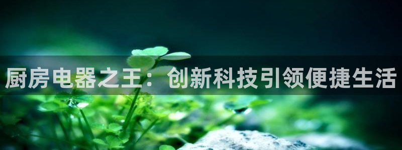 风暴娱乐1980