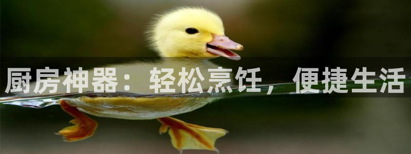 风暴娱乐左5指尖
