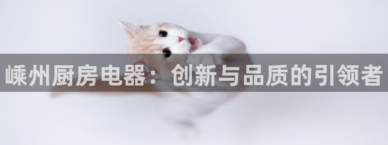 风暴娱乐1980